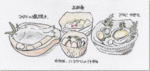 縄文人の豊かな食生活